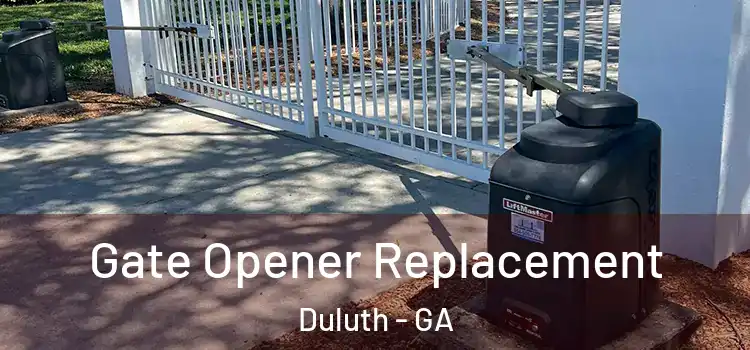 Gate Opener Replacement Duluth - GA